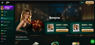 бонусы.PNG